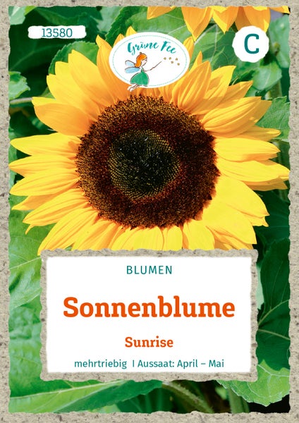 Samen für Sonnenblume Sunrise, mehrtriebig, Aussaat von April bis Mai, Grüne Fee Logo.