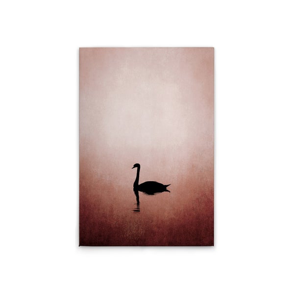 Wandbild mit dem Motiv eines schwarzen Schwans auf dem Wasser