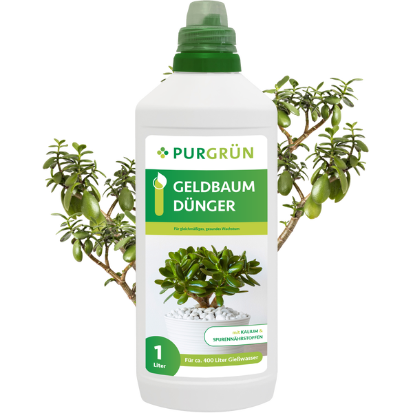 Purgrün Geldbaum-Dünger 1 Liter