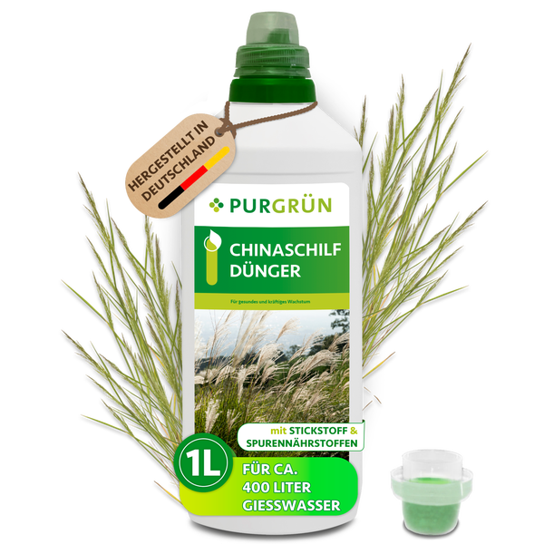 Eine Flasche Purgrün Chinaschilf Dünger, ein Liter Flüssigdünger für gesundes Pflanzenwachstum, hergestellt in Deutschland.