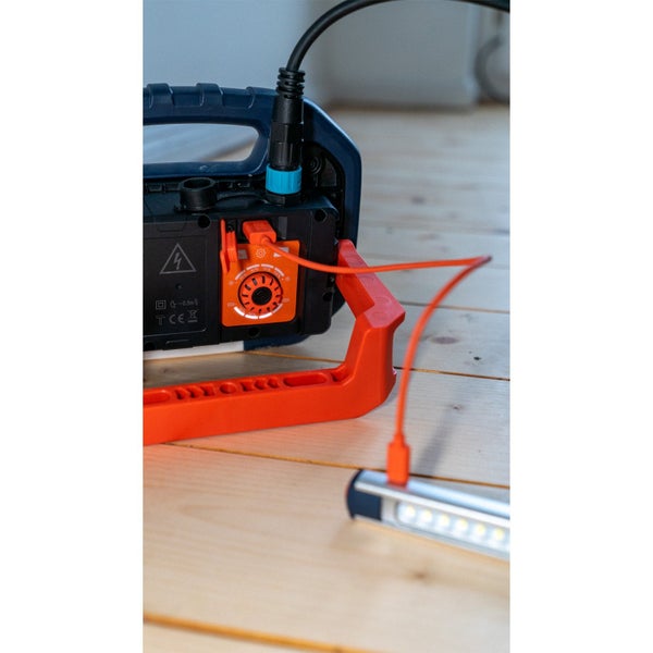 Ginkgobaum mit gelben Blättern im Park