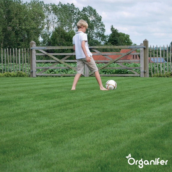 Junge spielt barfuß Fußball auf einem Rasen vor einem Holzzaun.