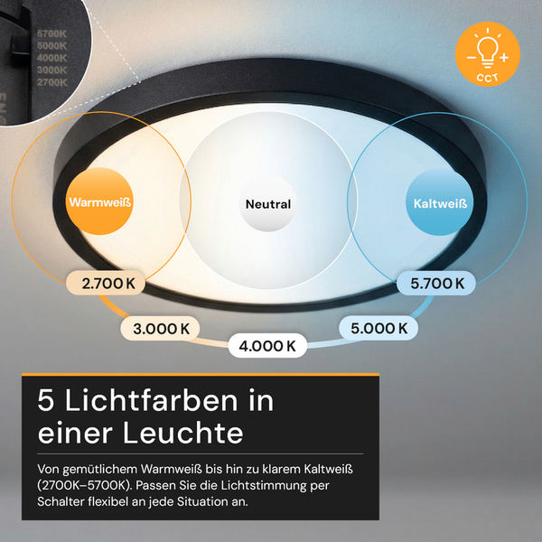 Ovale Deckenleuchte mit fünf einstellbaren Farbtemperaturen von 2700 Kelvin bis 5700 Kelvin, von warmweißem bis kaltweißem Licht.