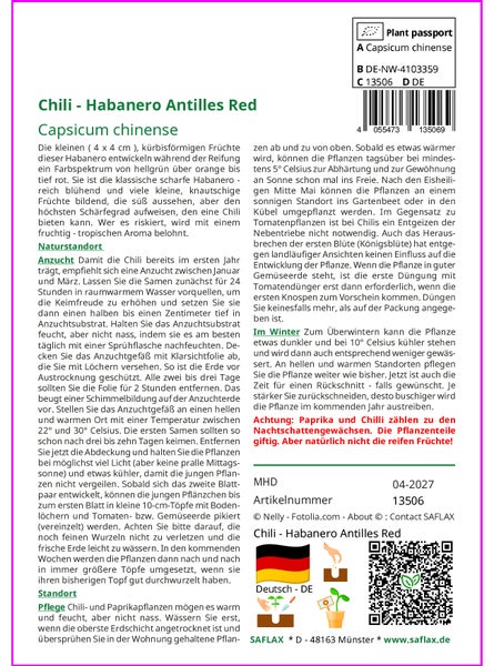 SAFLAX Anzucht Set - Chili - Habanero Antilles Red - Capsicum chinense - 10 Samen - Mit Mini-Gewächshaus, Anzuchtsubstrat und 2 Töpfen
