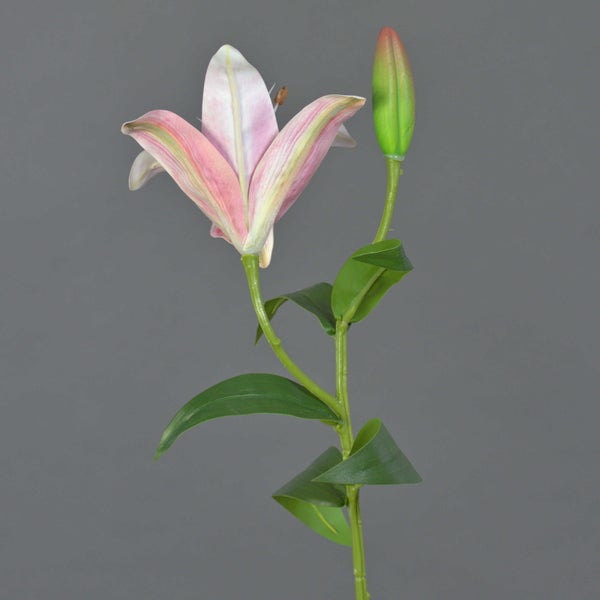 Künstliche Lilie mit einer pink-weißen Blüte, einer Knospe und grünen Blättern.