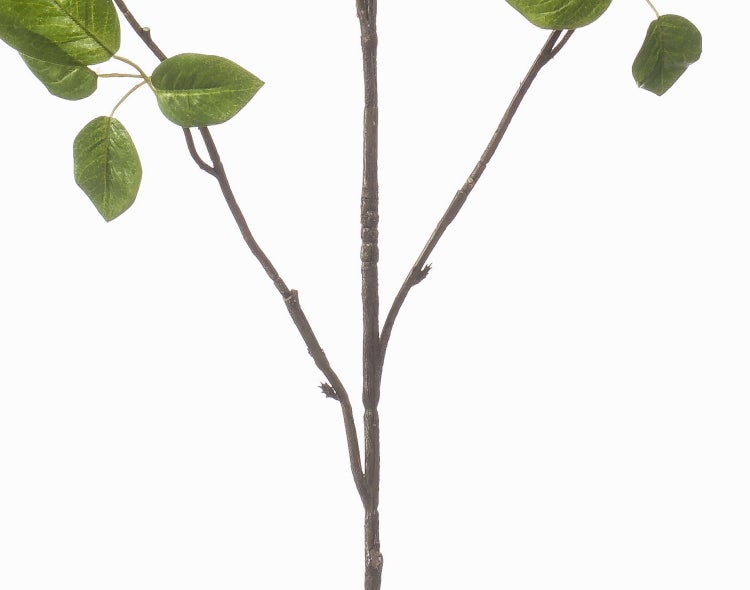 Künstlicher Zweig mit grünen Blättern für die Dekoration.