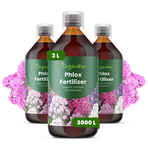 Drei Flaschen Organifer Phlox Dünger, organisches Flüssigdünger Konzentrat, drei Liter für dreitausend Liter Gießwasser.