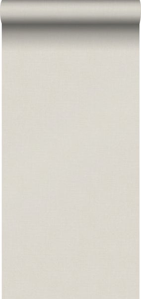 Schließmechanismus eines Spindschranks