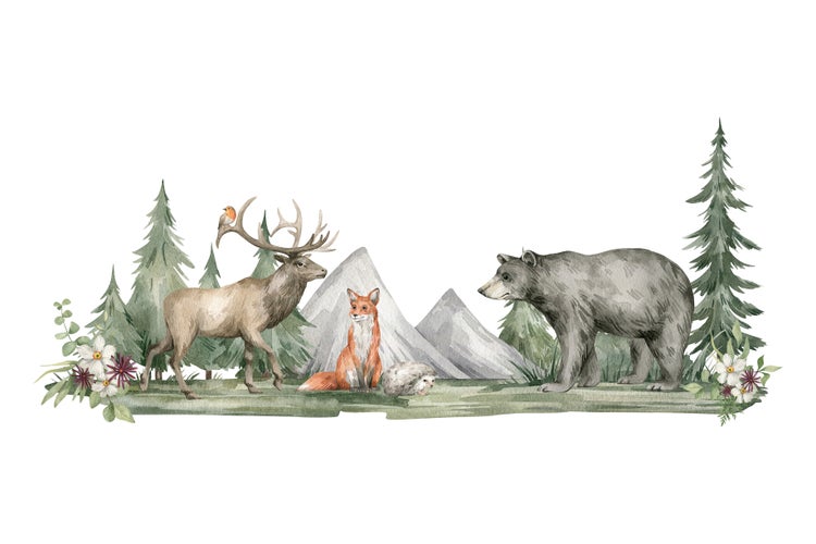 Aquarellillustration einer Waldszene mit Hirsch, Fuchs, Igel und Bär vor einer Berglandschaft und Tannen.