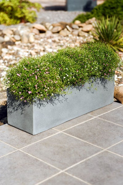 Rechteckiger Pflanzkasten in Betonoptik mit kleinen rosa und weißen Blumen auf einer Terrasse.