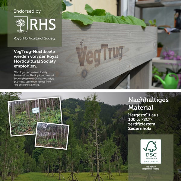 VegTrug Hochbeet aus 100 Prozent FSC zertifiziertem Zedernholz, empfohlen von der Royal Horticultural Society. Mit FSC Logo und RHS Logo.