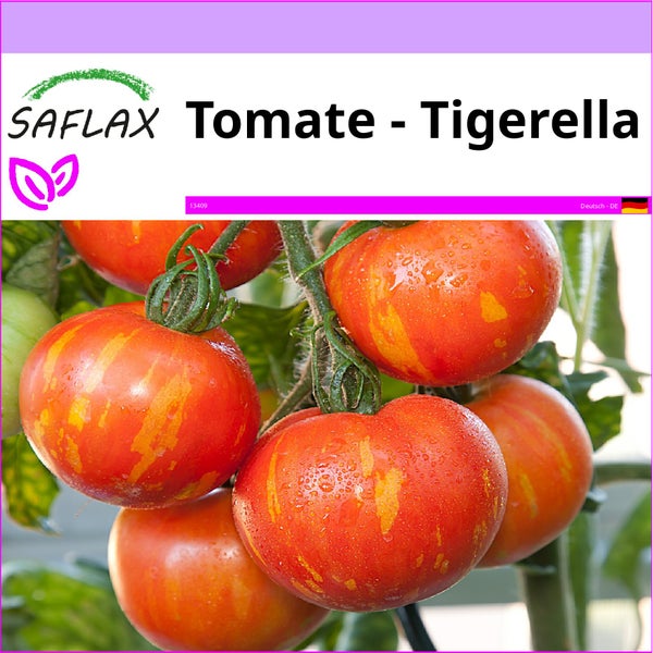 SAFLAX  - Tomate - Tigerella - Lycopersicon esculentum - 10 Samen