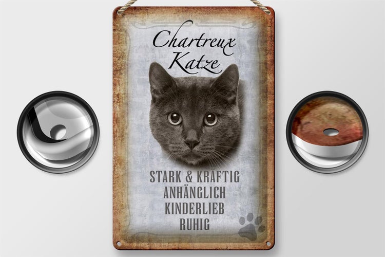Blechschild Spruch 20x30cm Chartreux Katze stark Schild