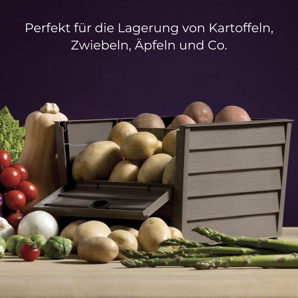 Kartoffel Kiste Gemüse Zwiebel Box Korb Behälter Obst Gemüse Vorratsbox