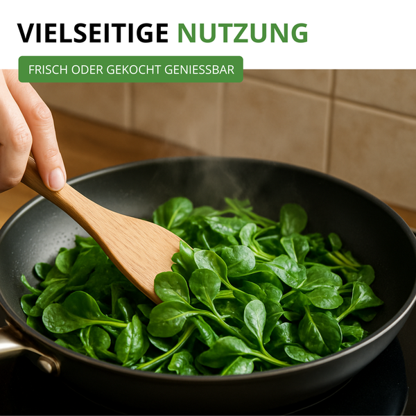 Frischer Feldsalat wird mit einem Holzspatel in einer Pfanne zubereitet, um die vielseitige Nutzung frisch oder gekocht zu verdeutlichen.
