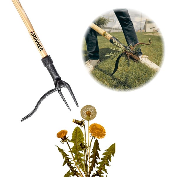 Krinner Unkrautstecher mit langem Holzstiel im Einsatz beim Entfernen von Löwenzahn aus dem Rasen.