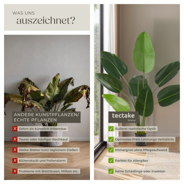 Vergleich zwischen einer verwelkten Pflanze und der Tectake Kunstpflanze mit Vorteilen wie realistische Optik und Pflegeleichtigkeit