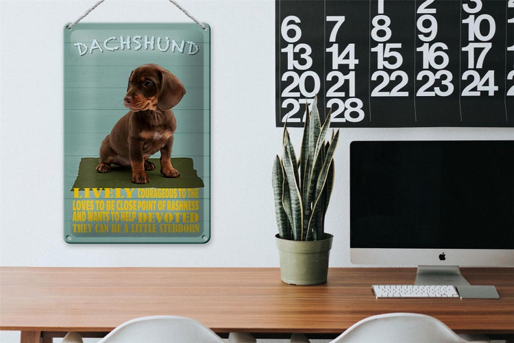 Blechschild Spruch 20x30cm Dachshund Hund lively devoted