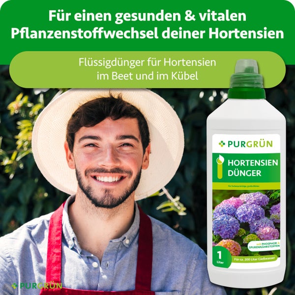 Purgrün Hortensiendünger 1 Liter Flüssigdünger für Beet und Kübel, abgebildet mit einem lächelnden Gärtner mit Strohhut.