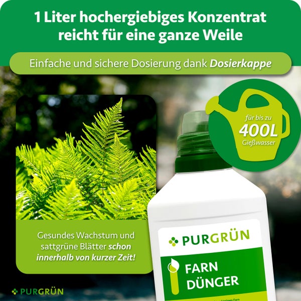 PURGRÜN Farndünger Konzentrat 1 Liter Flasche mit Dosierkappe für gesundes Wachstum von Farnen und sattes Blattgrün.