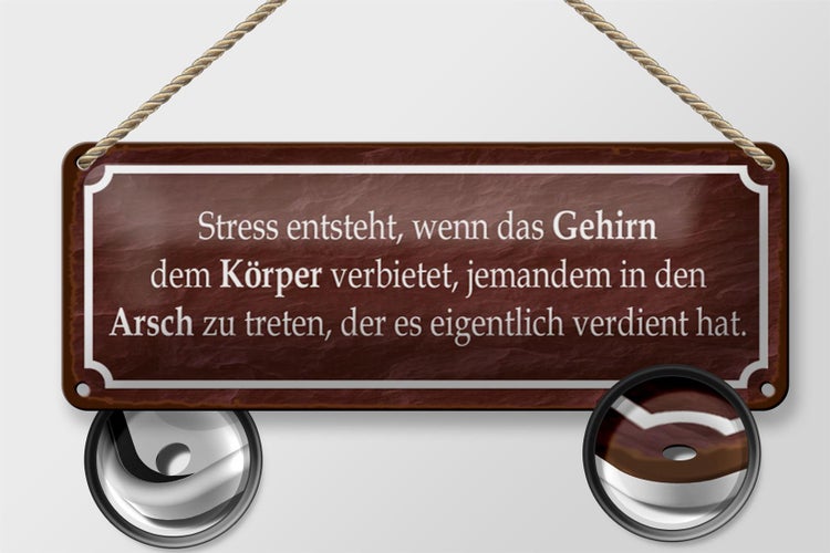 Blechschild Spruch 27x10cm Stress entsteht wenn das Gehirn Dekoration