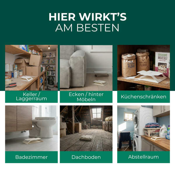 Anwendungsbeispiele für einen Schädlingsbekämpfer in Keller, Lagerraum, Ecken hinter Möbeln, Küchenschränken, Badezimmer, Dachboden und Abstellraum