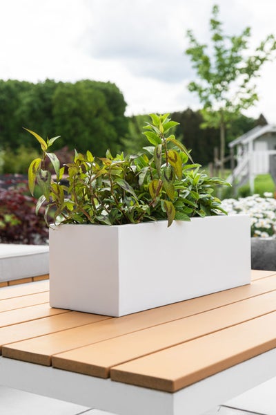 Rechteckiger weißer Blumenkasten mit grünen Pflanzen auf einem hölzernen Gartentisch.