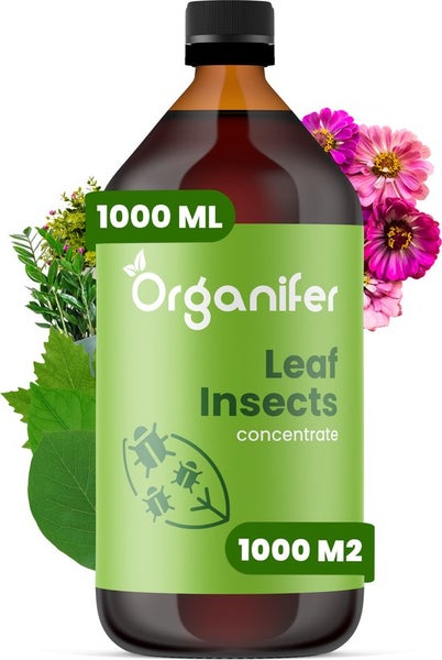 Leaf Insects Blattinsekten-Konzentrat - 1000 ml für 1000 m2 - Organifer