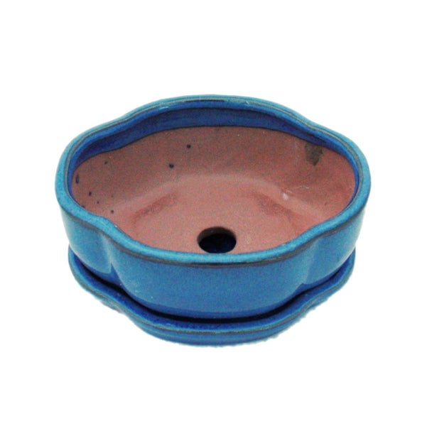 Bonsai-Schale mit Unterteller  Gr. 1 Blau  haitang/oval  Modell I5 L 12cm B 9,5cm H 4,5 cm