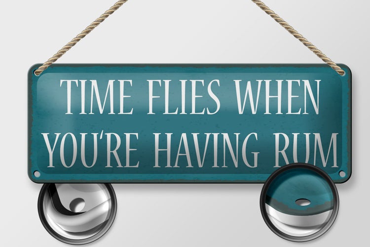 Blechschild Spruch 27x10cm time flies when you`re have Rum Dekoration