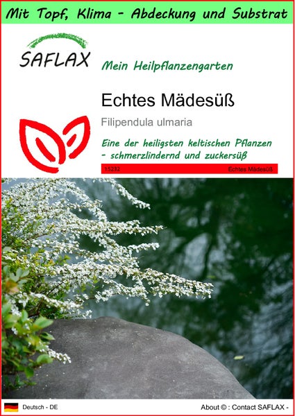 SAFLAX Garden to go - Echtes Mädesüß - Filipendula ulmaria - 500 Samen - Mit Topf, Klima - Deckel und Anzuchtsubstrat