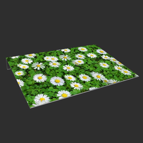 Lichtschachtabdeckung aus Acryl | Kellerschacht-Abdeckung | Schneeschutz | Regenschutz | Schutz gegen Schmutz, Schimmel, Laub und Schnee | Gänseblümchen | Rasen | Gras | Blumen | Pflanzen | Dekorativ mit Motiv 110x55 cm