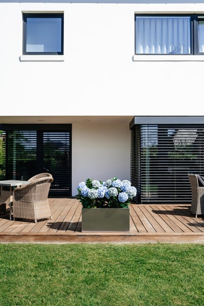 Rechteckiger Pflanzkasten mit Hortensien auf einer Holzterrasse neben Korbsesseln vor einem modernen Wohnhaus mit Außenjalousien.
