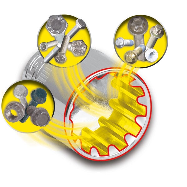 Darstellung von Schrauben mit verschiedenen Schraubenköpfen und passenden Muttern