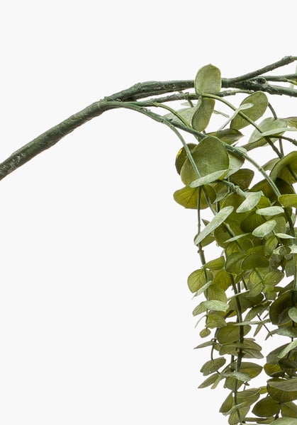 Künstliche Eukalyptus-Hängepflanze mit runden Blättern und langen Zweigen.