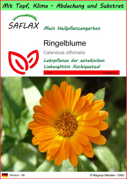 SAFLAX Garden to go - Ringelblume - Calendula officinalis - 50 Samen - Mit Topf, Klima - Deckel und Anzuchtsubstrat
