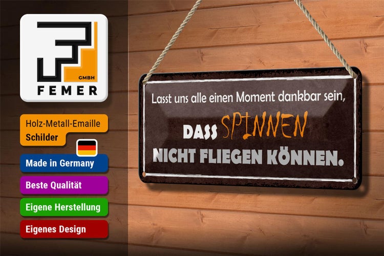 Blechschild Spruch 27x10cm Spinnen nicht fliegen können Dekoration
