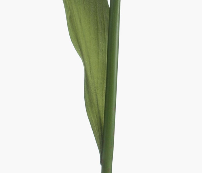 Künstliche Palme mit großen grünen Palmwedeln in der Nahaufnahme.