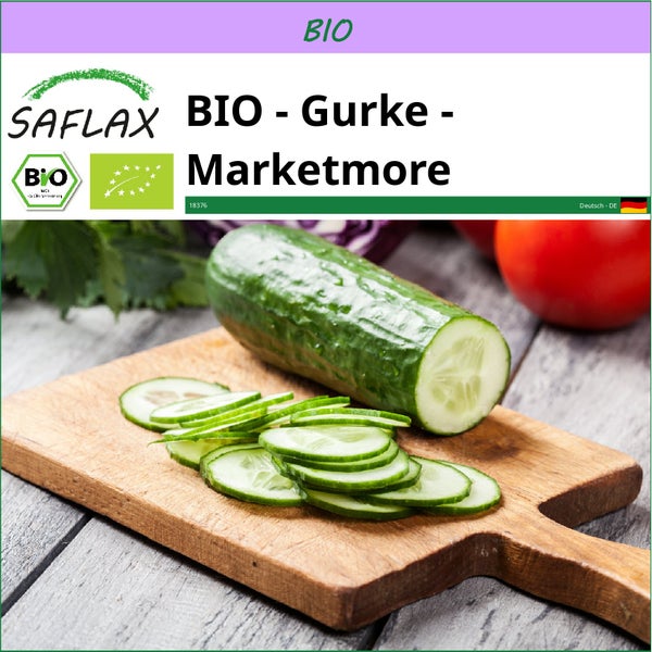 SAFLAX  - BIO - Gurke - Marketmore - Cucumis sativus - 20 Samen