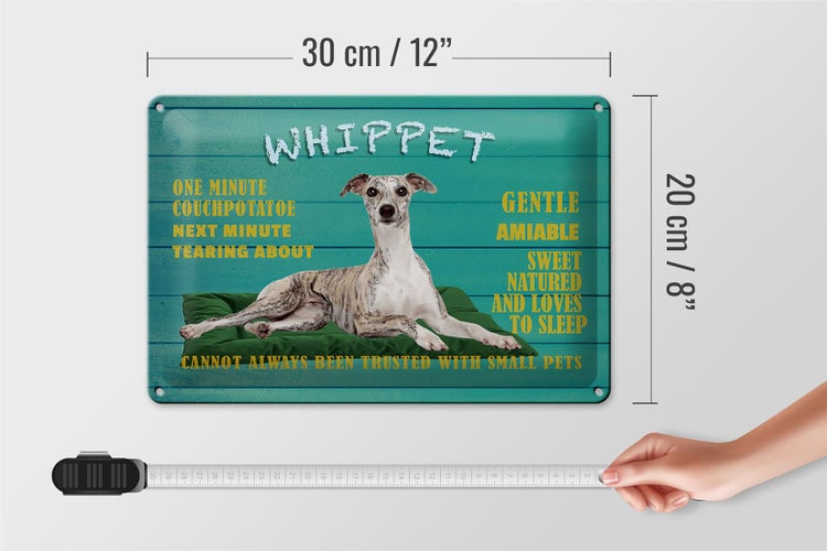 Blechschild Spruch 30x20cm Whippet Hund gentle amiable