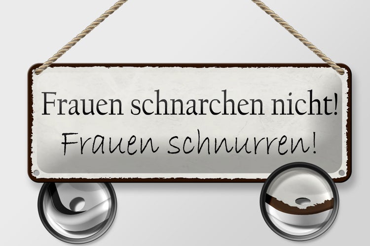 Blechschild Spruch 27x10cm Frauen schnarchen nicht Dekoration