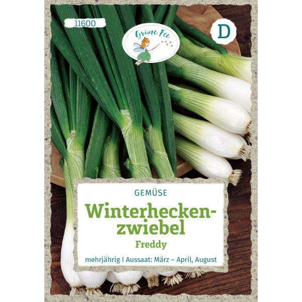 Winterheckenzwiebel Freddy Samen von Grüne Fee