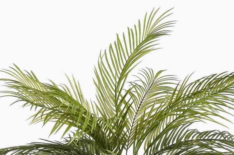 Stamm einer künstlichen Palme in einem schwarzen Kunststofftopf.