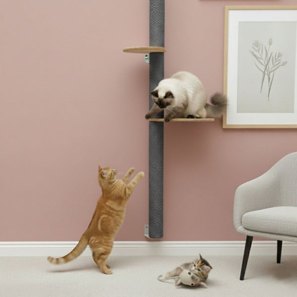 Wandmontierter Kratzbaum mit Kletterstamm und Holzplattformen, an dem Katzen spielen, in einem modern eingerichteten Wohnbereich.