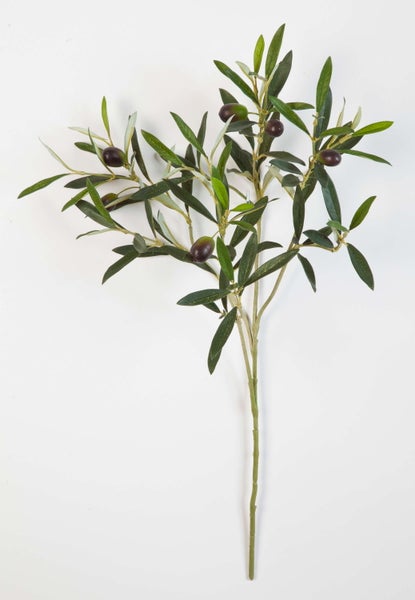 Weißer Blumentopf mit einer grünen Pflanze.