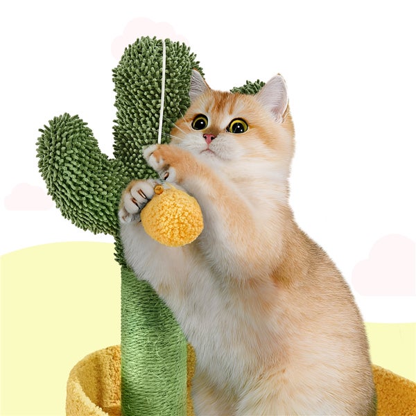 Katze spielt mit Kratzbaum in Kaktusform