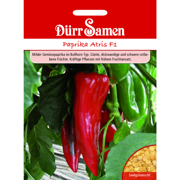 Paprika Atris F1 Saatgut von Dürr Samen