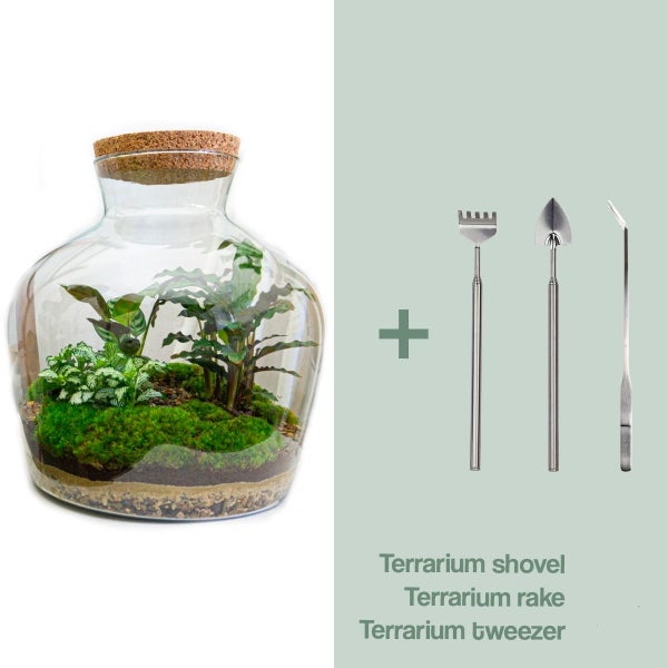 Flaschengarten Fat Joe - DIY-Pflanzenterrarium - 30 cm - incl. Rechen, Schaufel und Pinzette