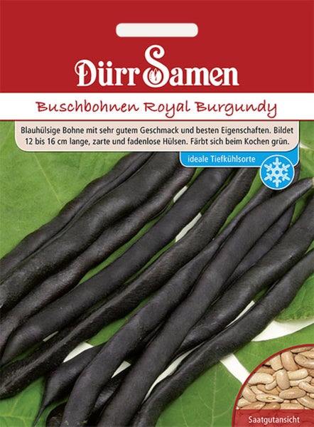 Dürr Samen Samentüte Buschbohnen Royal Burgundy mit Abbildung von dunkelvioletten Bohnenhülsen und einer Ansicht des Saatguts.
