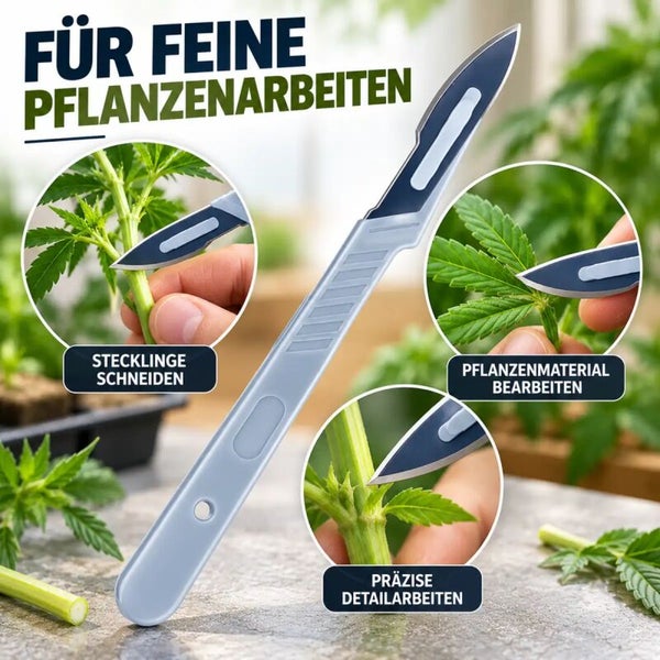 Skalpell für feine Pflanzenarbeiten wie das Schneiden von Stecklingen und präzise Detailarbeiten an Pflanzenmaterial.